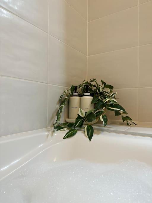 Jungle Suite - Moderne & Spacieux Annecy Bagian luar foto